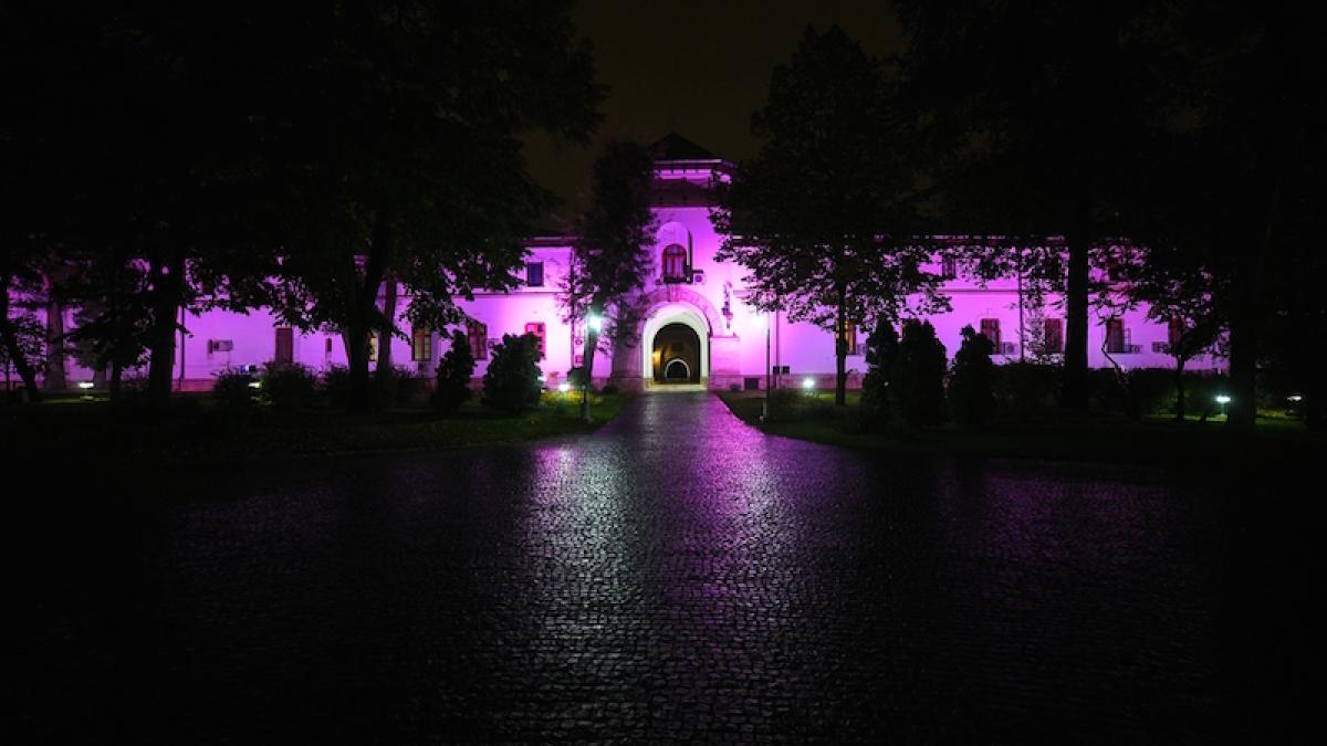 cotroceni_roz4_80565100