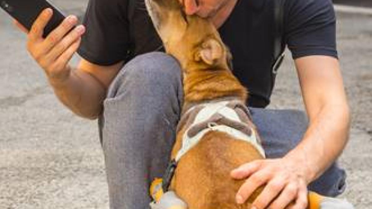 marius-manole_23921100