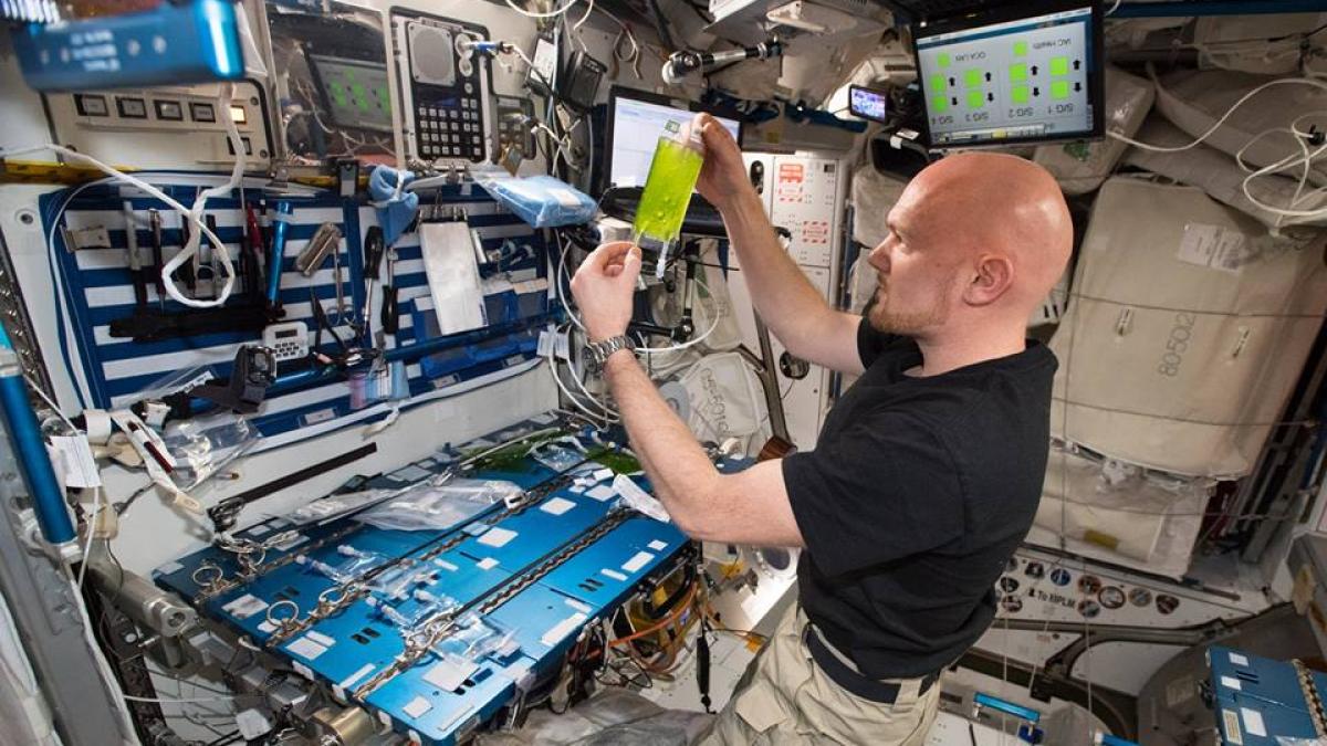 astro_alex_gerst_43393200