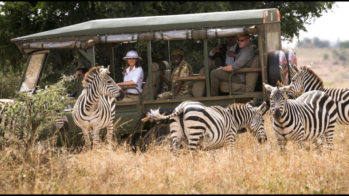 melania_trump_elefant_zebre_39231900