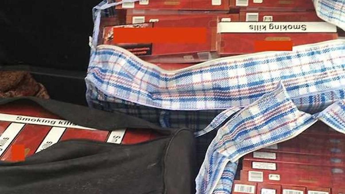 tigari_contrabanda_06502000