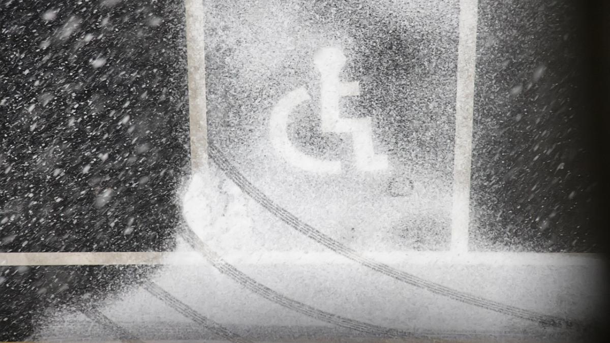 persoane-dizabilitati_89314200