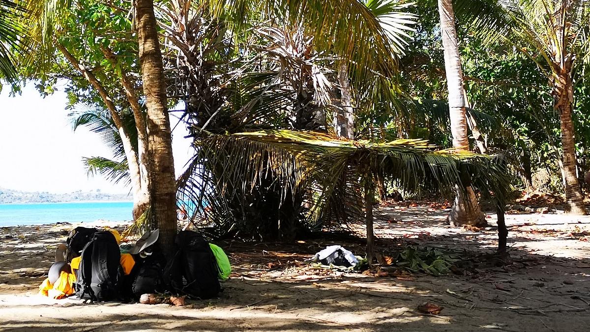 ultimul-trib-1_57780300