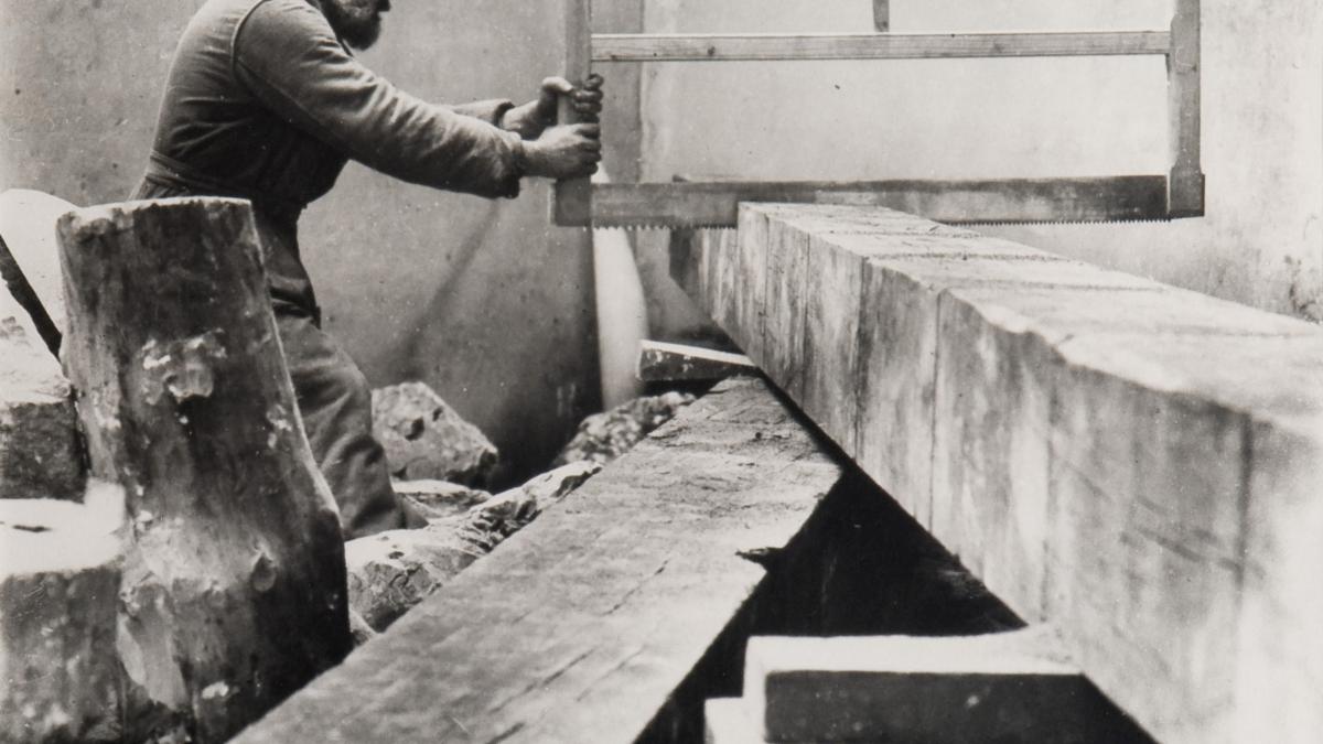 constantin_brancusi_48834800