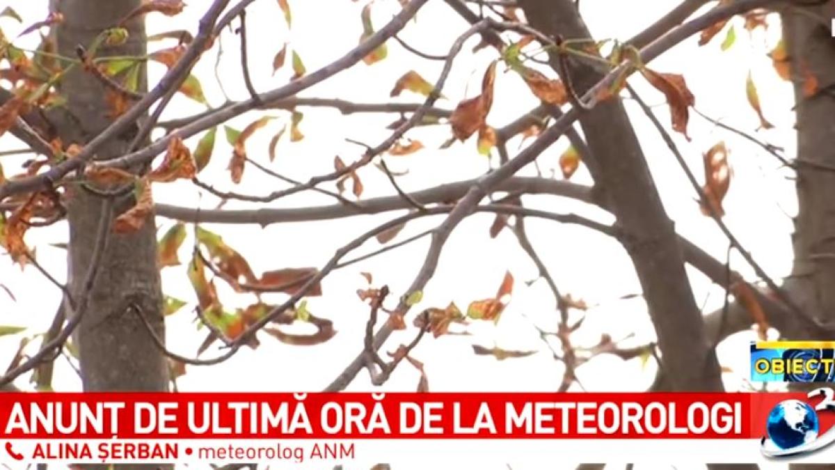 alina-serban-anm_70105900