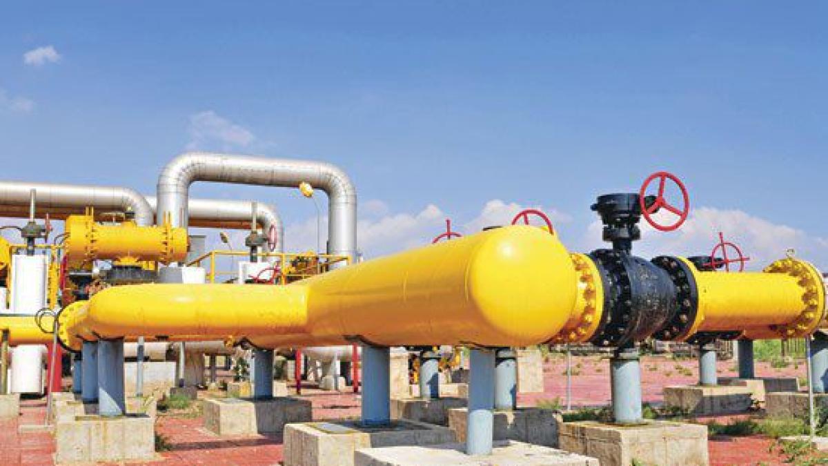 19_gaze_shutterstock_36_605x_03638700