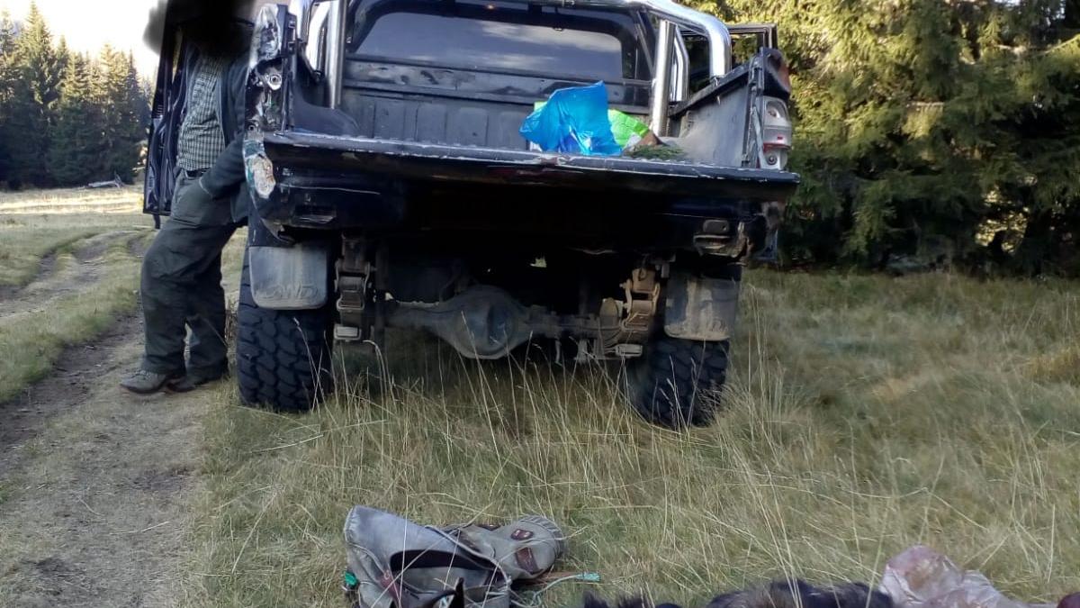 capra_neagra_braconaj_01841300