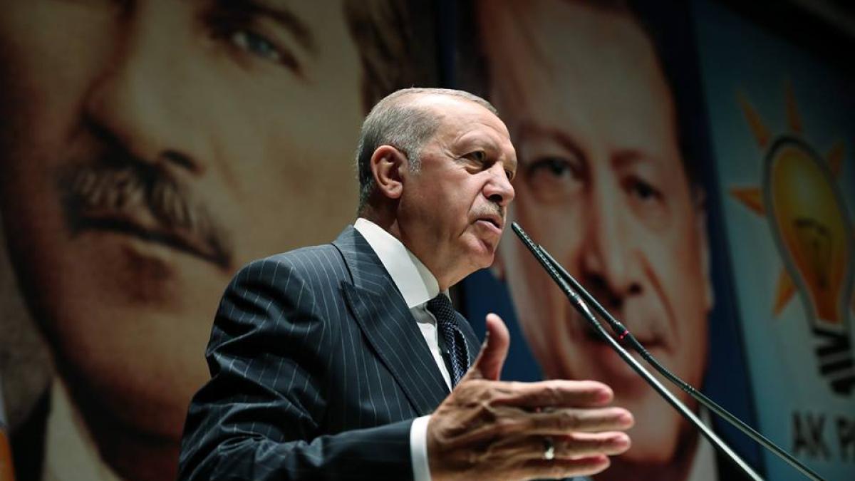 erdogan_discurs_24545900