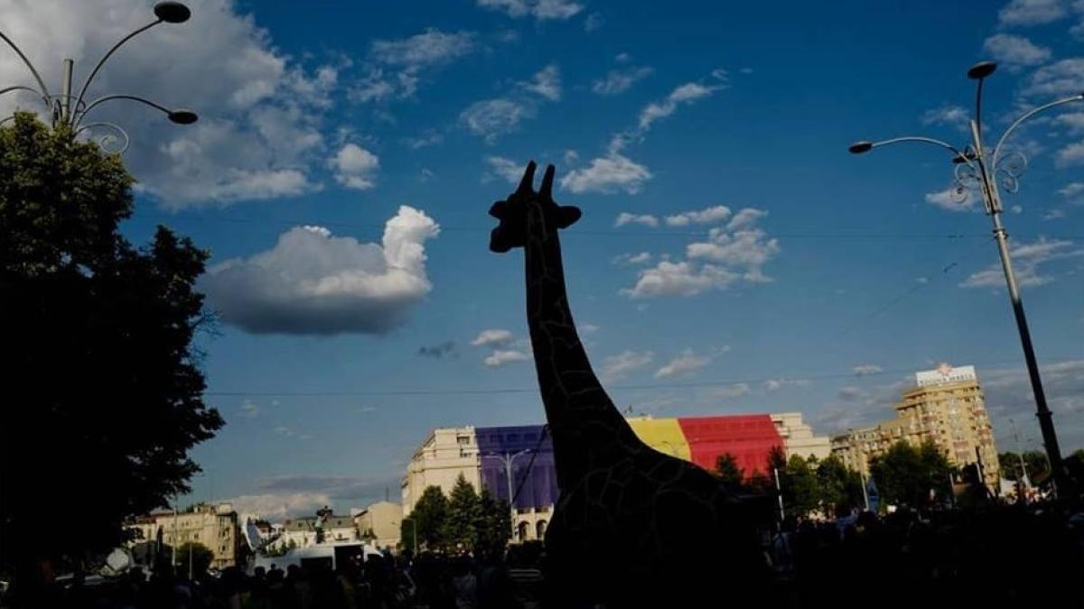 36176806_10214375583056511_7865204786885296128_n_19181600