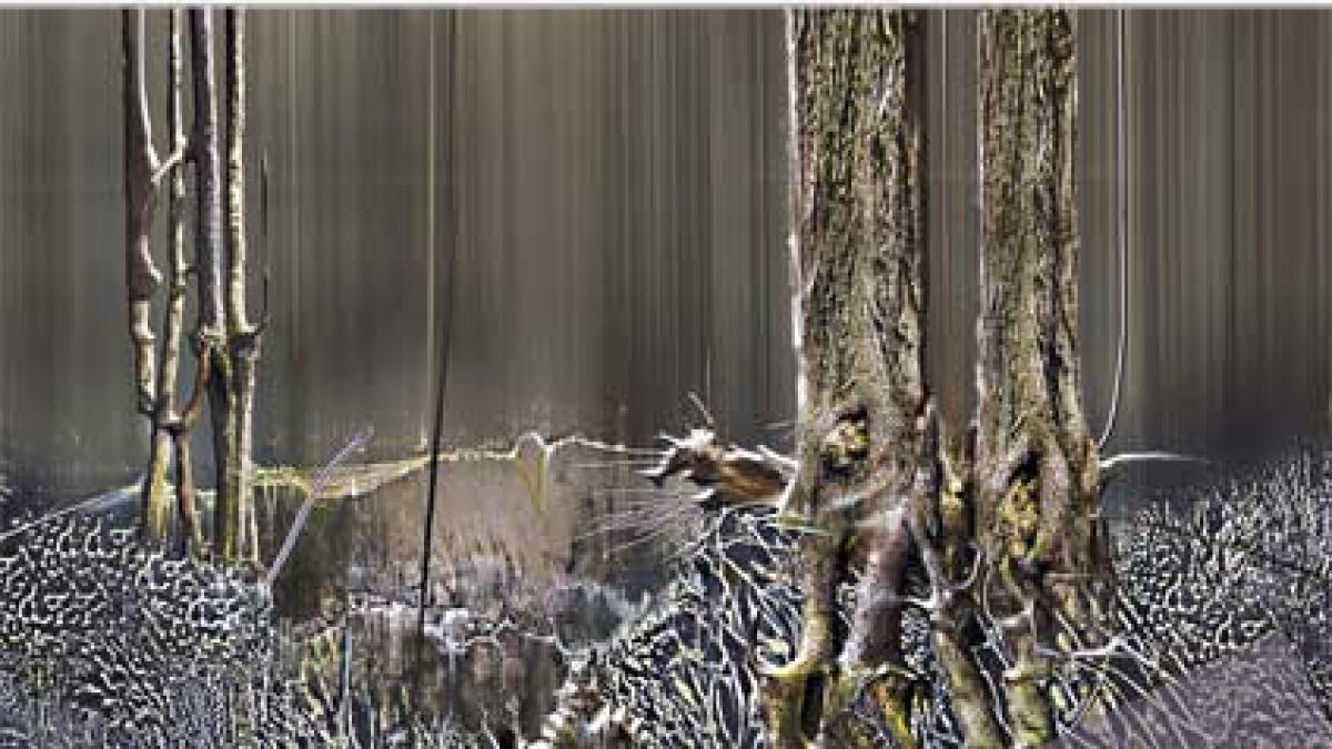 revista_cultura_99399500