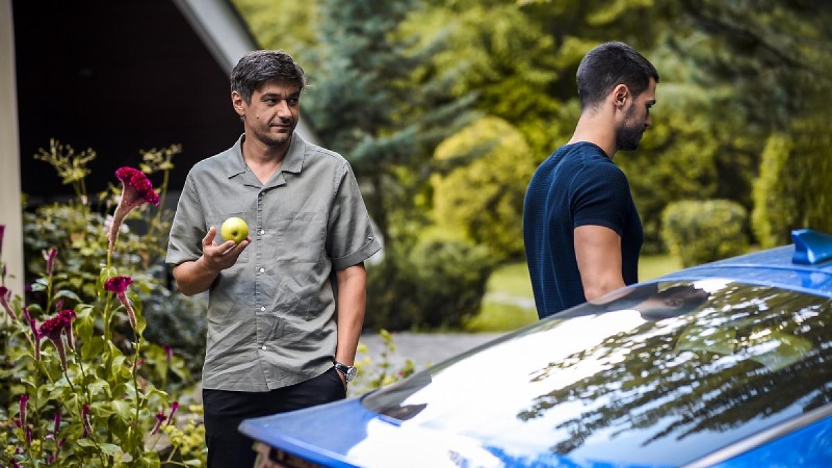 adrian_alex_fructul-oprit_24524100