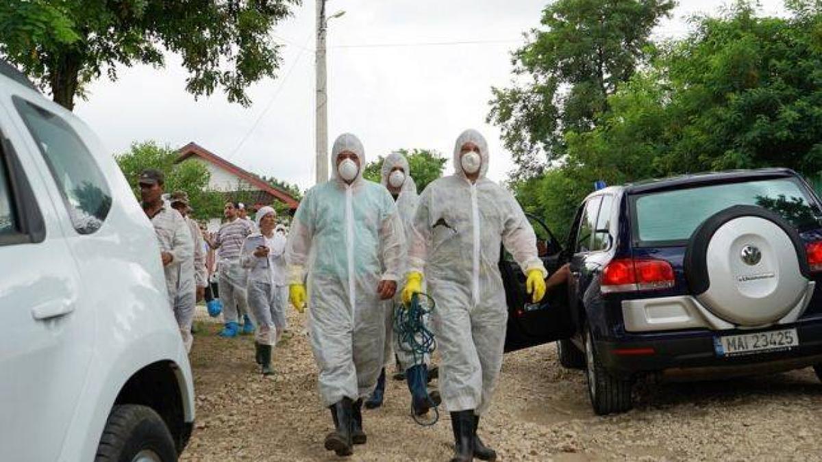 44115867_2336512703236310_2626113424781737984_n_79789400