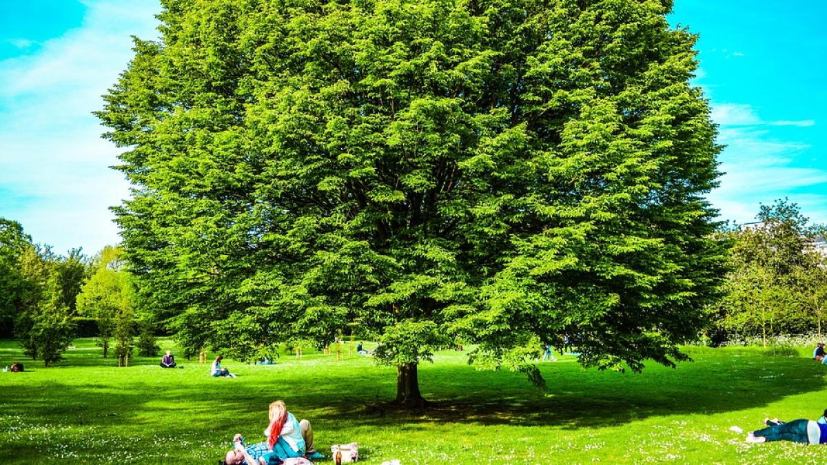 parc_londra_37450900