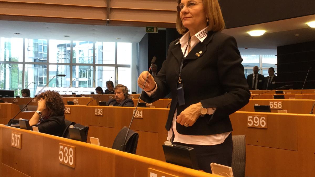 maria-grapini-pe_82953500