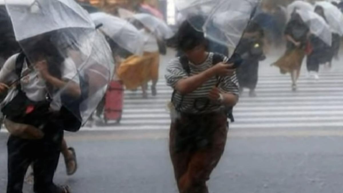 jebi_japonia_furtuna_88858900