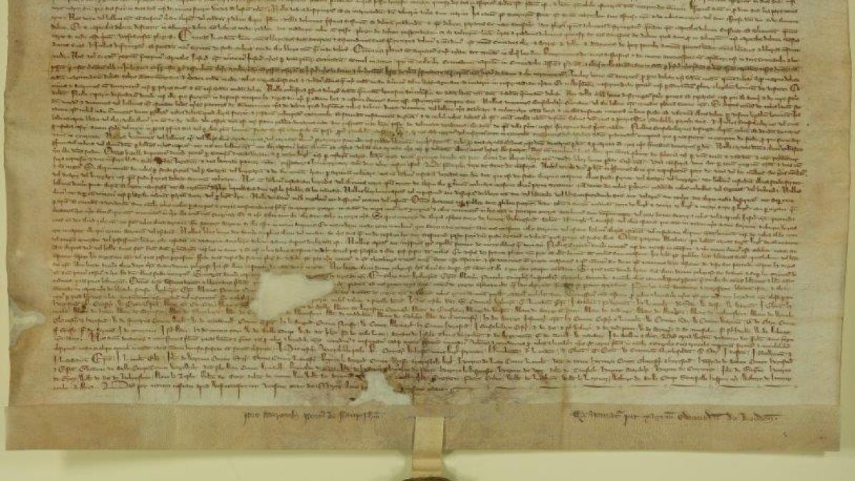 magna-carta_33014300