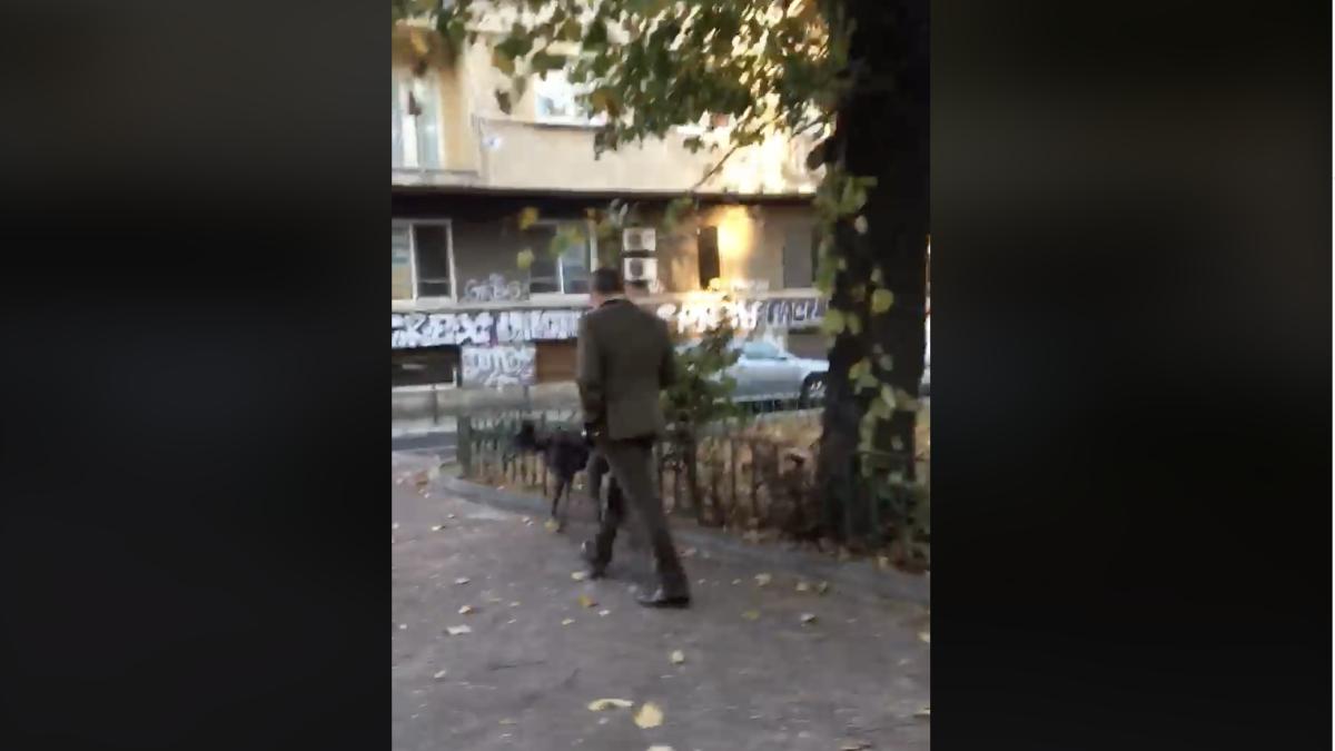 daniel-barbu-atacat-dragnea-presedintele-aep_74311900