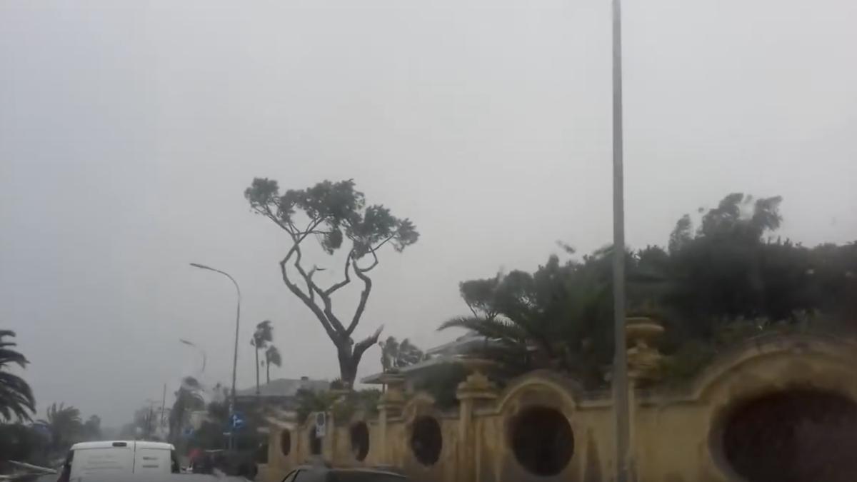 captura-de-ecran-din-2018-10-29-la-23-47-44_05293000