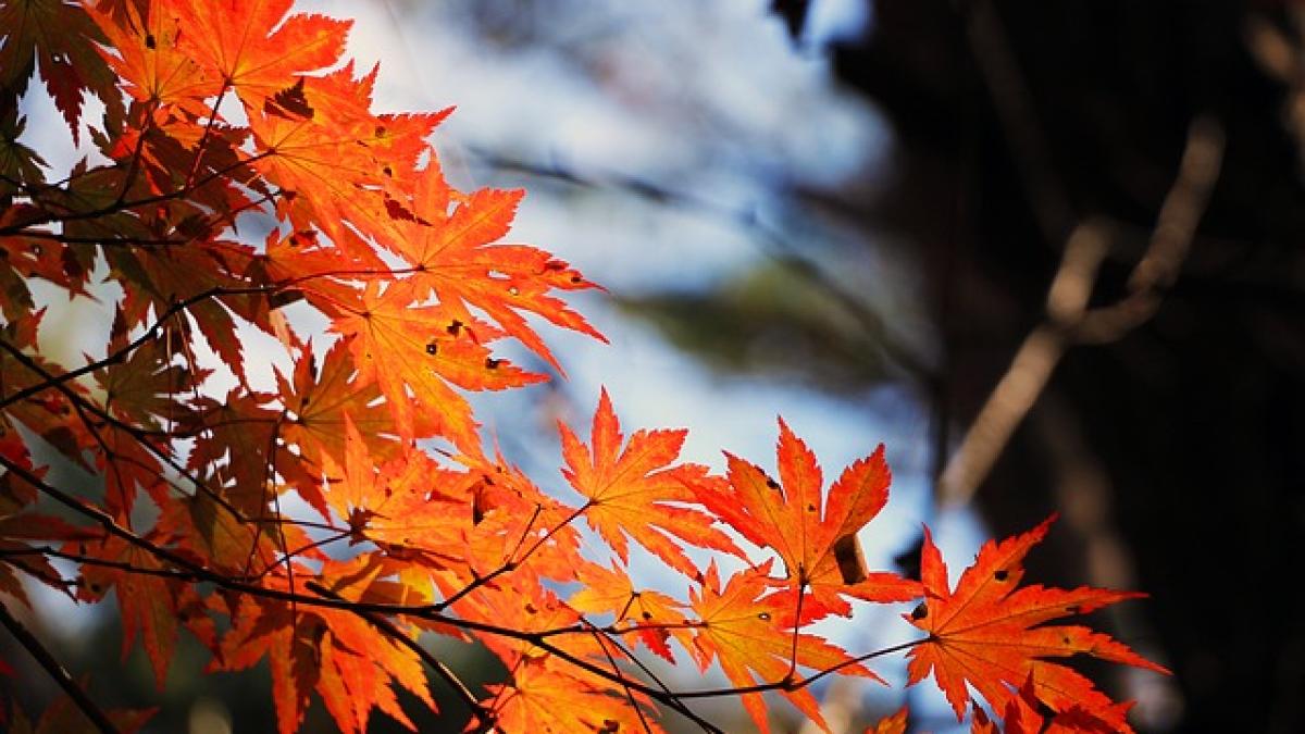 vreme-toamna_48233300