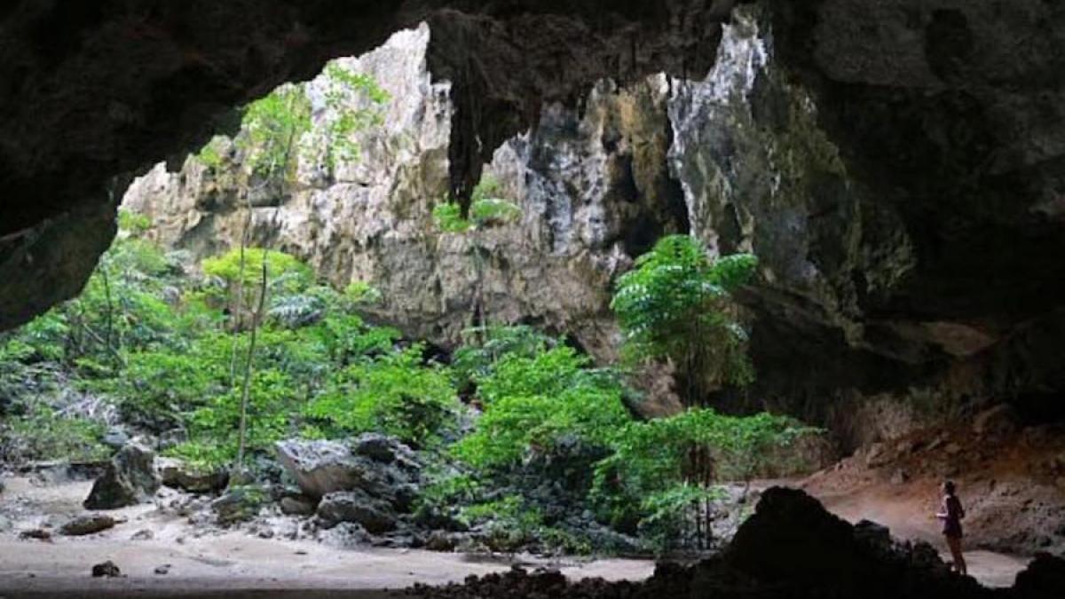 pestera_thaila_17018600