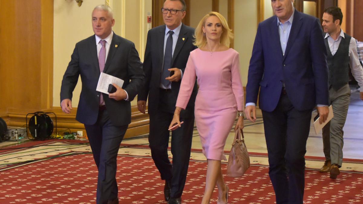 tutuianu_firea_negoita_15056200
