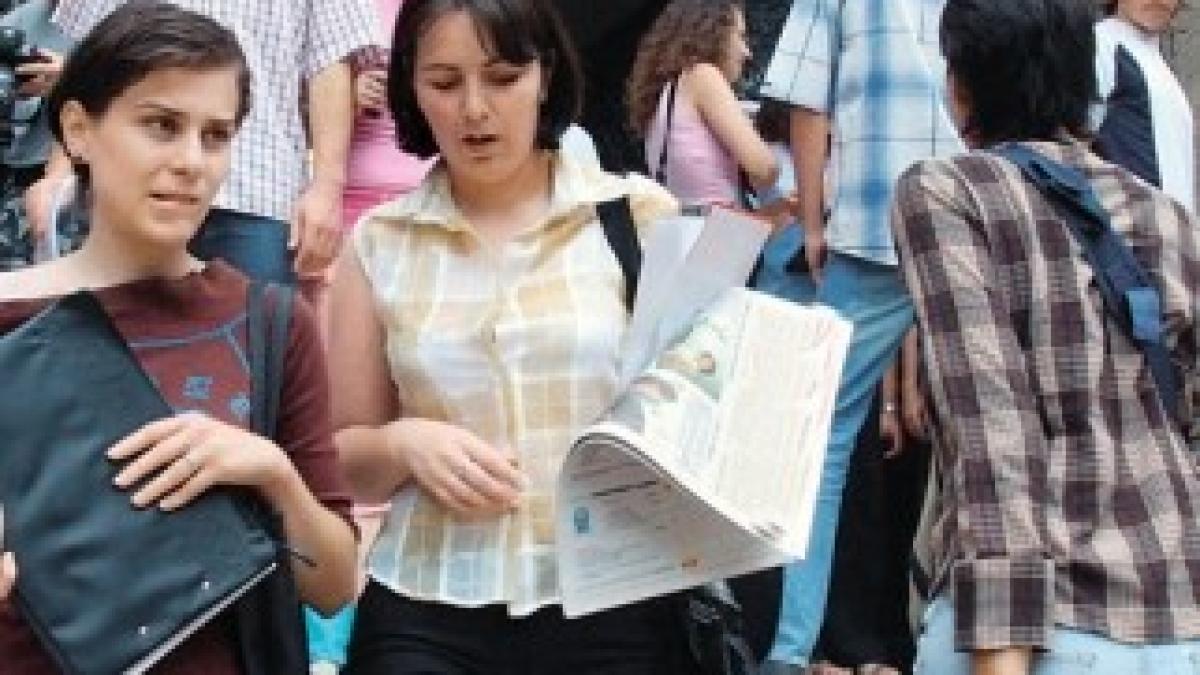 image_125387970668528200_1