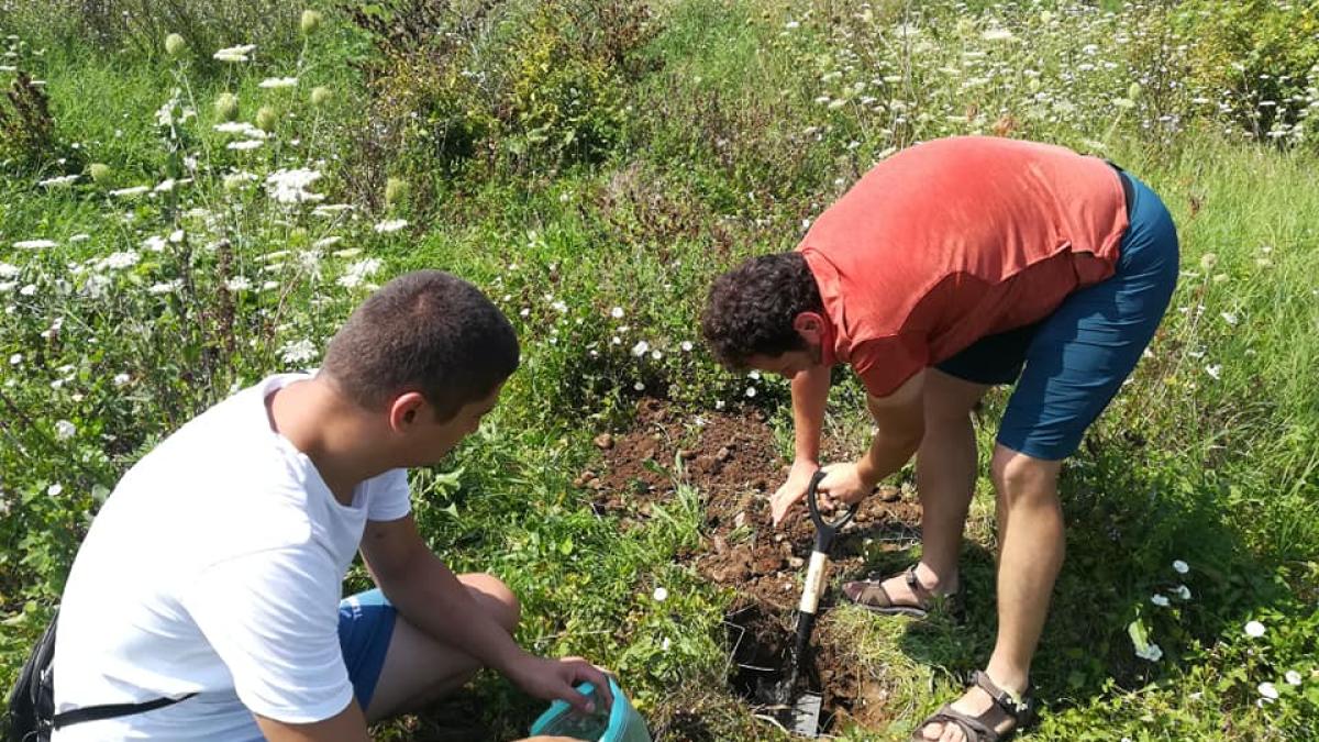 analize-sol-padurea-cercetasilor_54426200