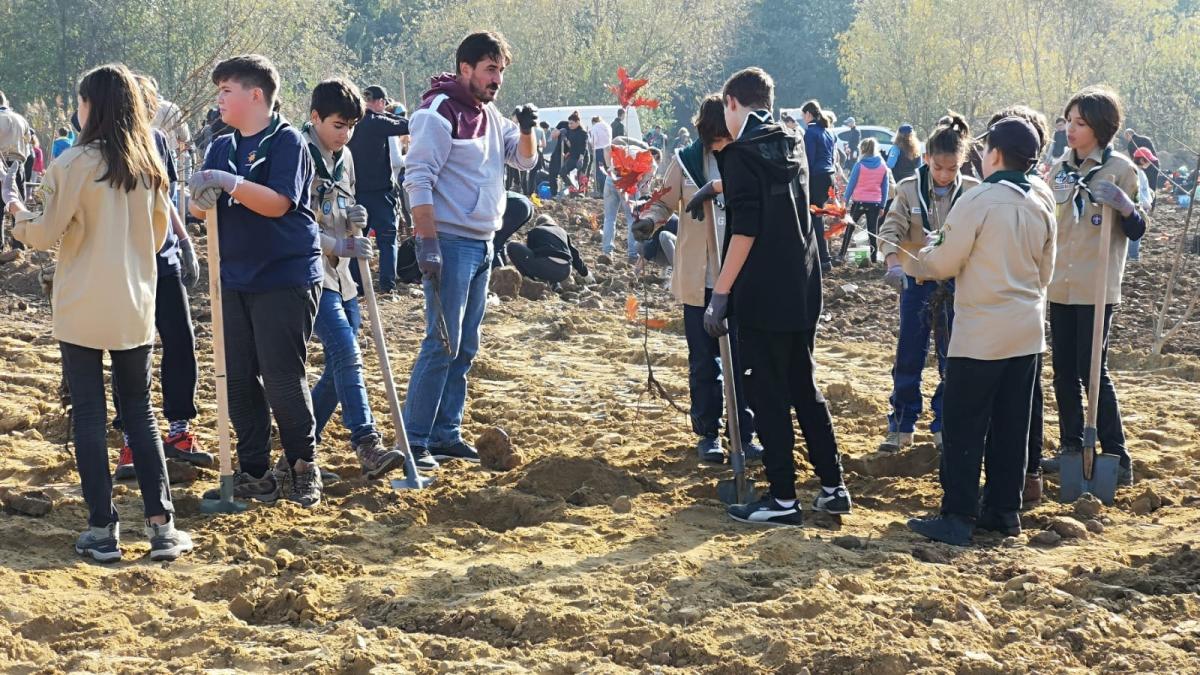 img-20181110-wa0009_77708600