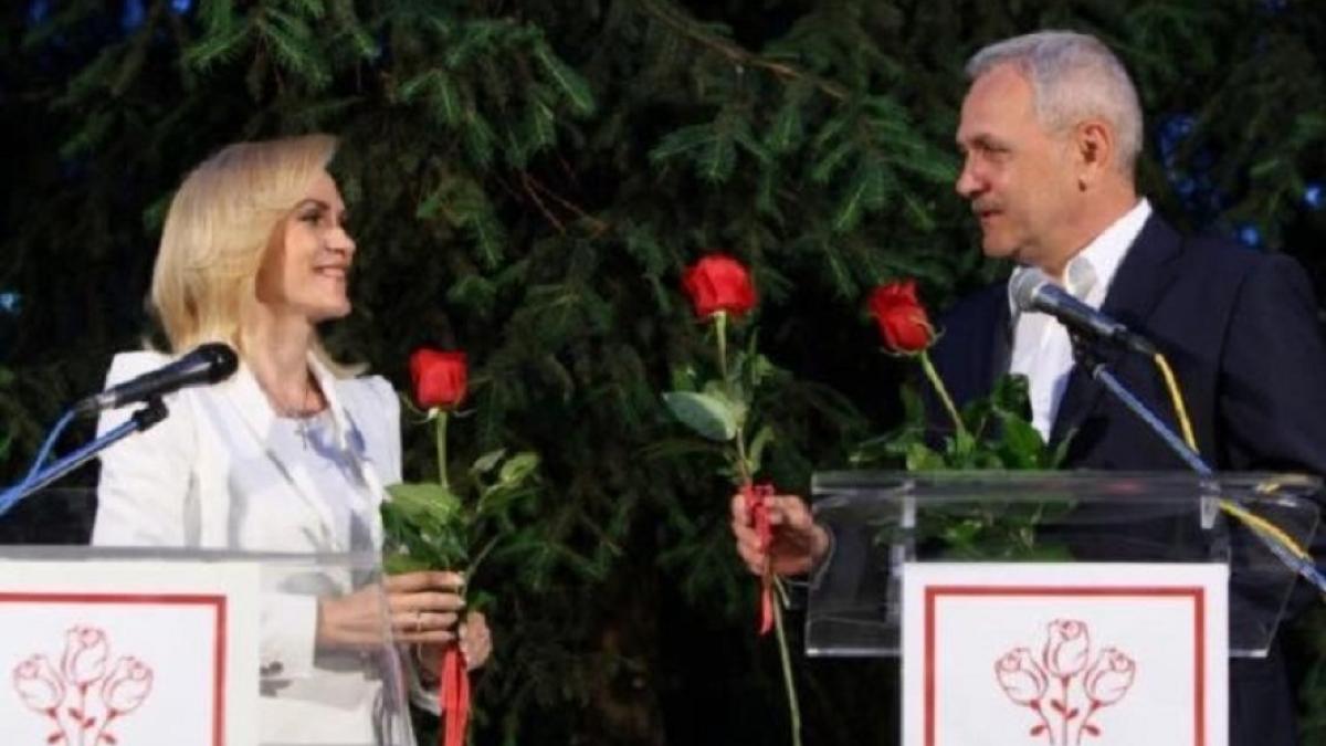 firea_dragnea_trandafiri_fb_14943100