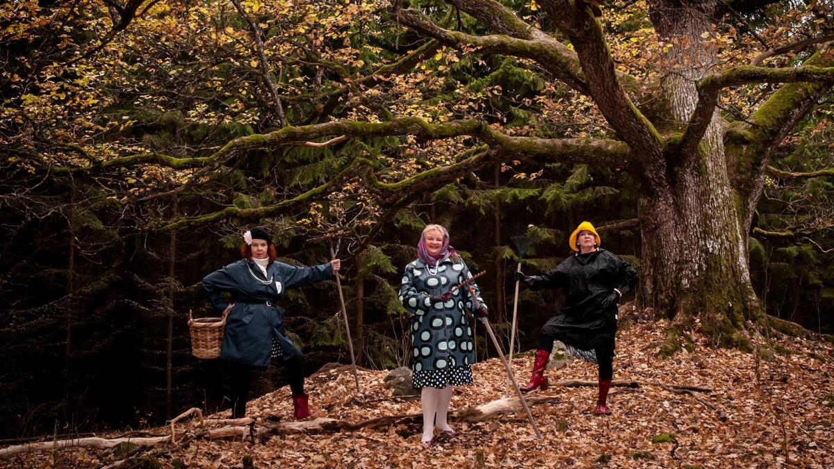 finlanda_paduri_00794600