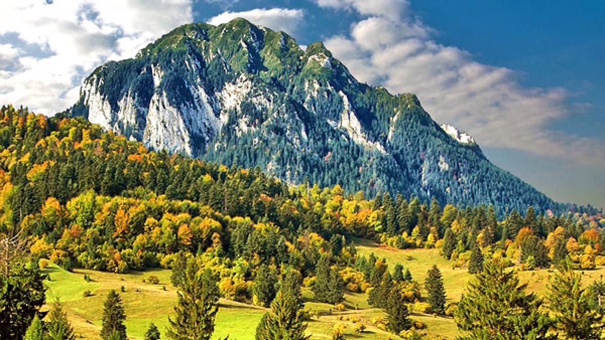 parcul-national-piatra-craiului_07415100