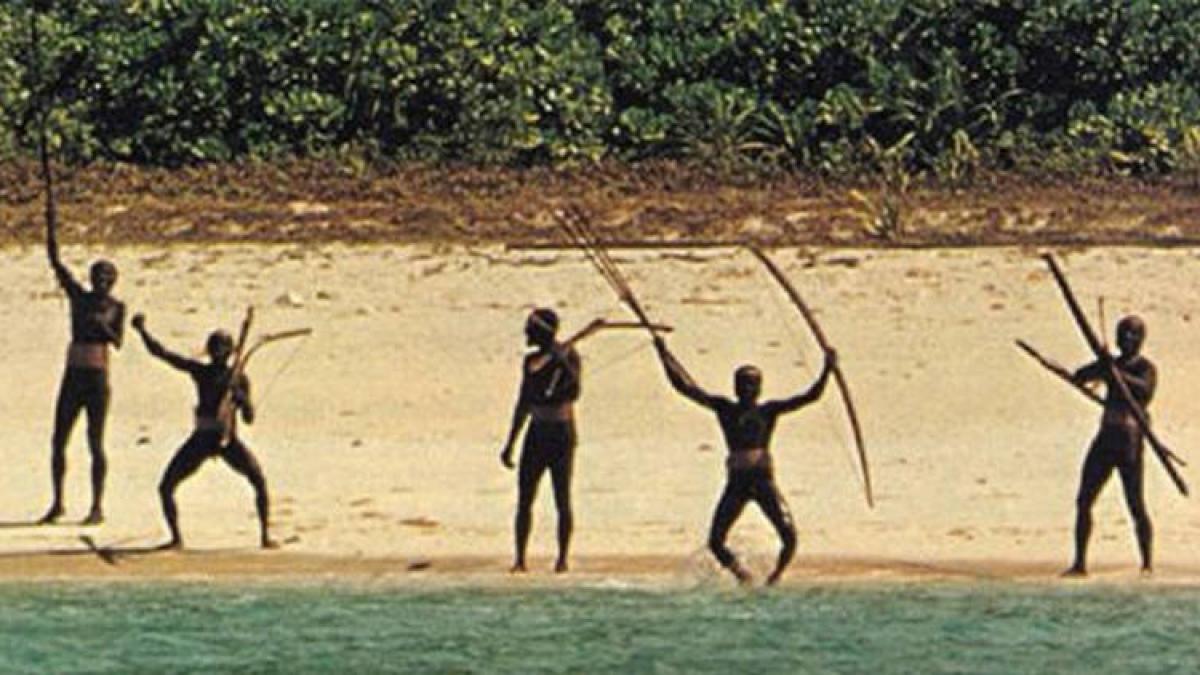 trib-izolat-santinel_32976200