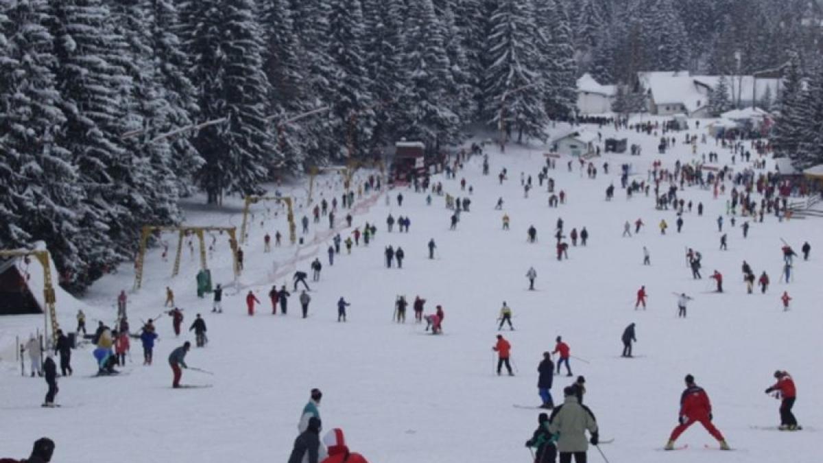 minivacanta_42356600