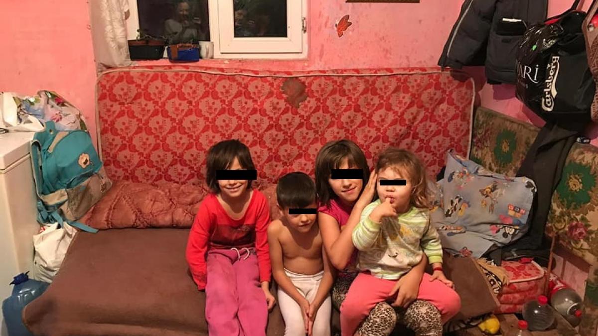 familie-moara-vlasiei_69716500