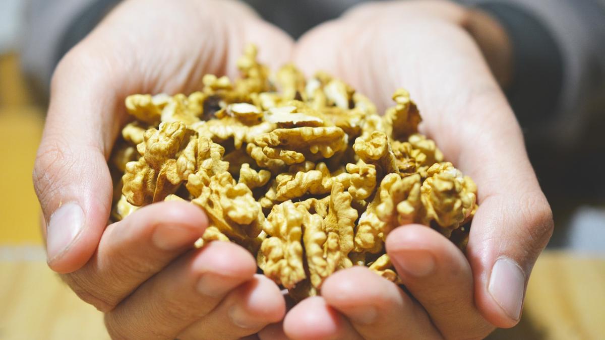 nuts-3743251_1280_40529300