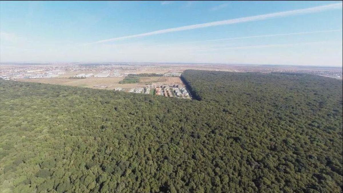 21150427_845936908910776_6634399753126868654_n_67464200