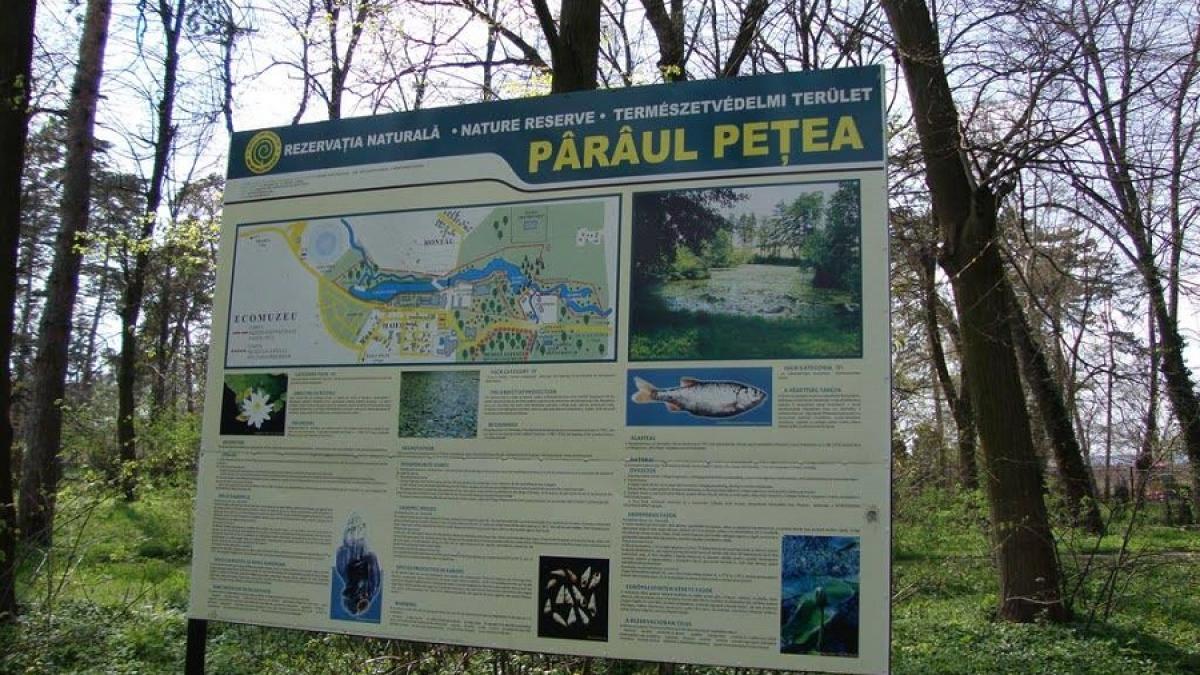 petea_rezevatie_naturala_66651300