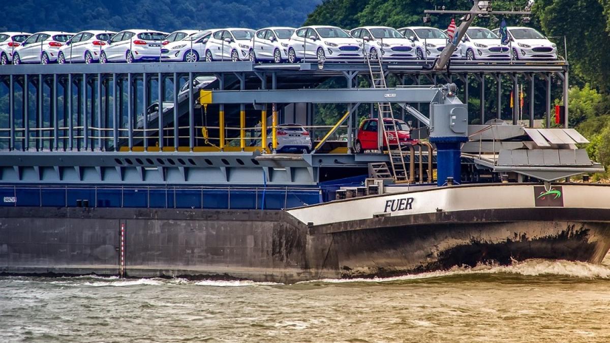 masini_cargo_vas_81446600