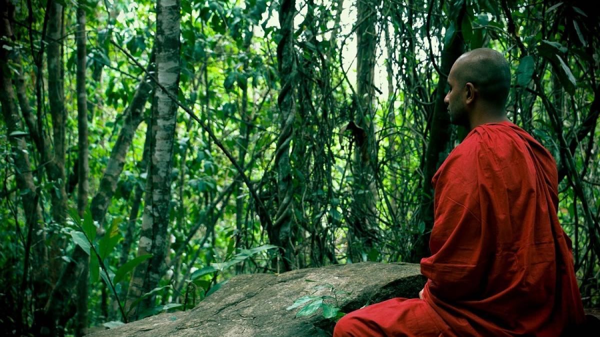 calugar_budist_26300000