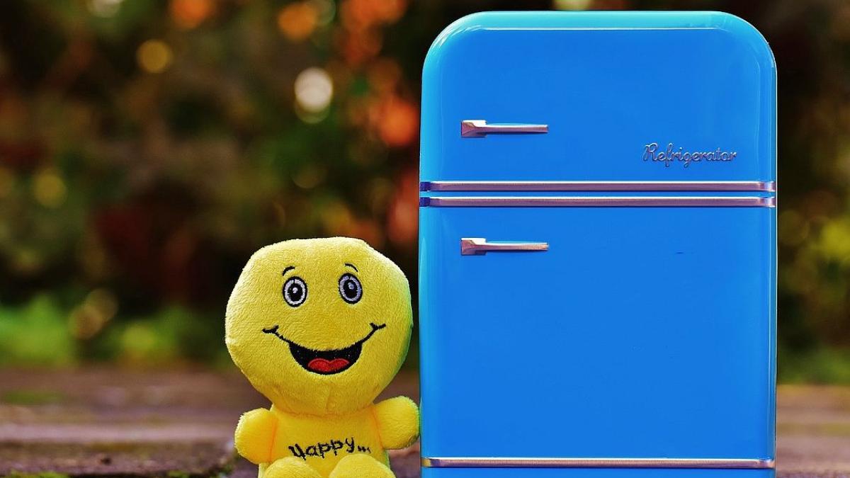 emoticon-emotie-emoji-fericit-frigider_56003500