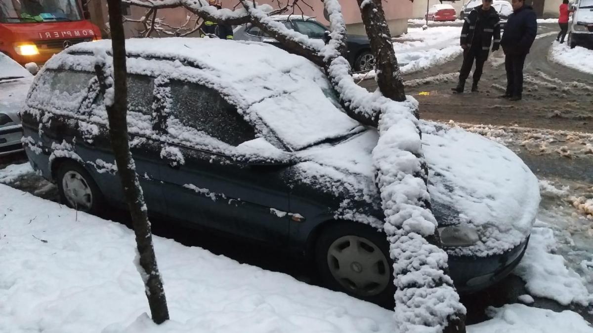 igsu-zapada-masina_20006700