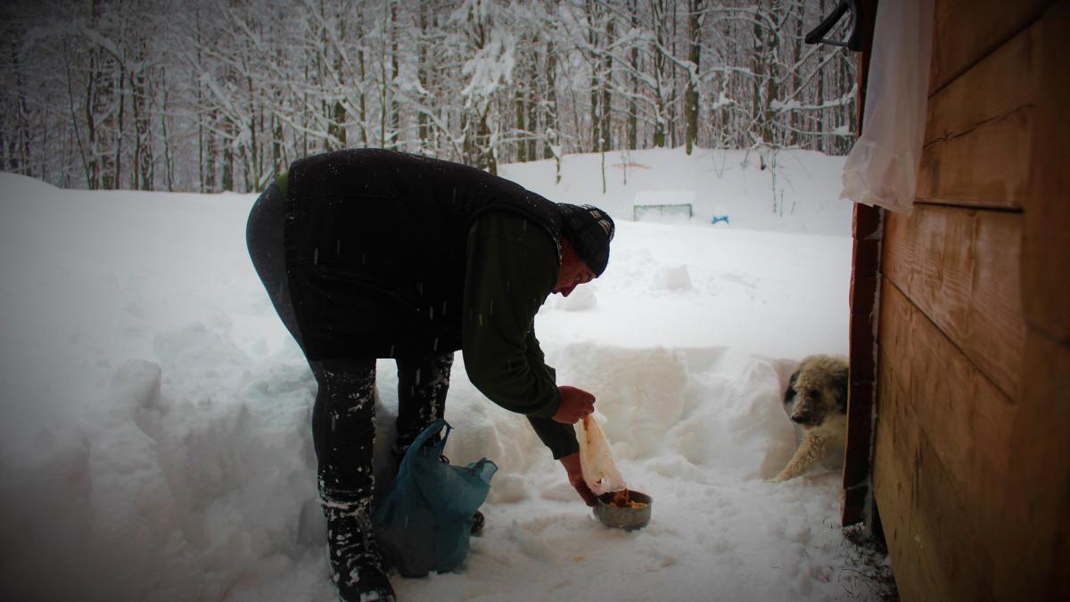 cuta_fetita_51833300