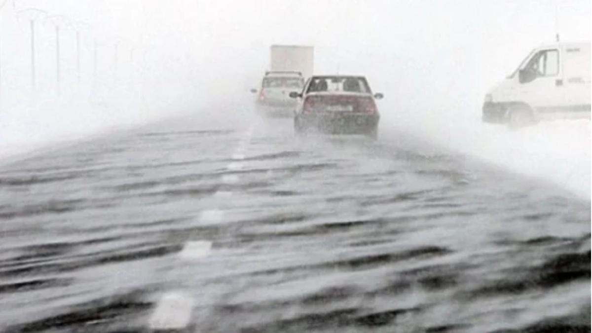 viscol_dcnews_58975000