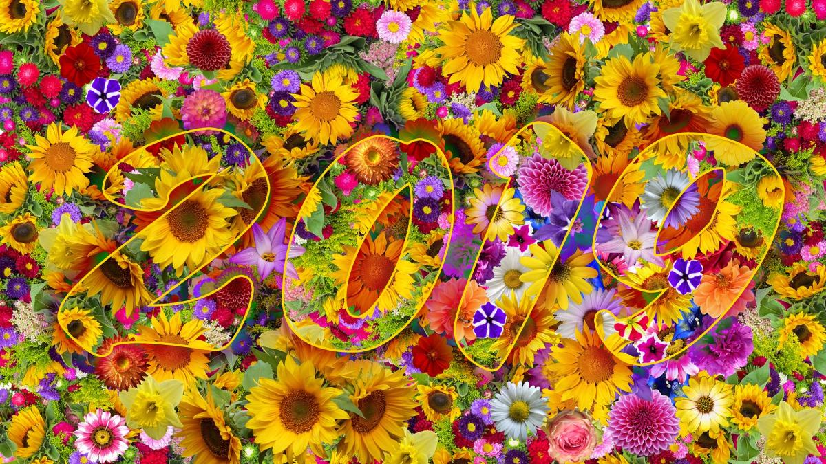 horoscop-2019-zodii-2019-luna-norocoasa_35837300