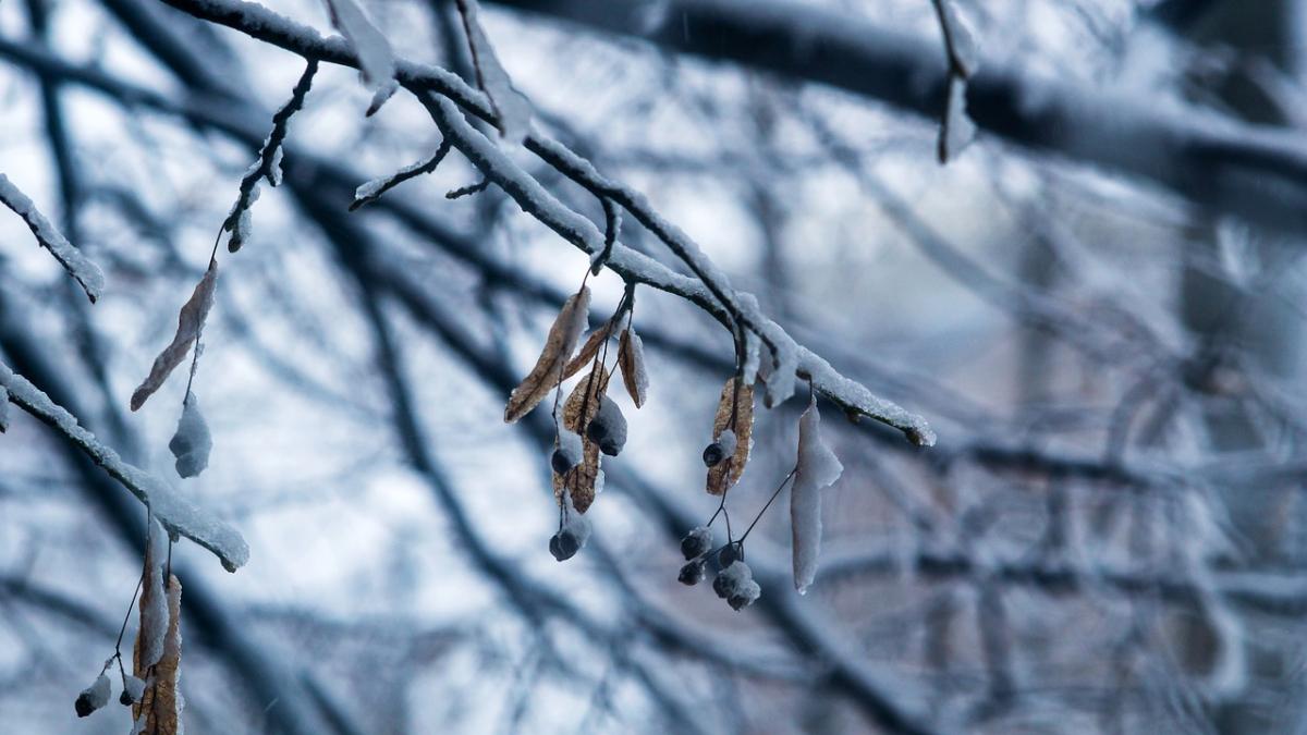 iarna-ger-vreme_61027300