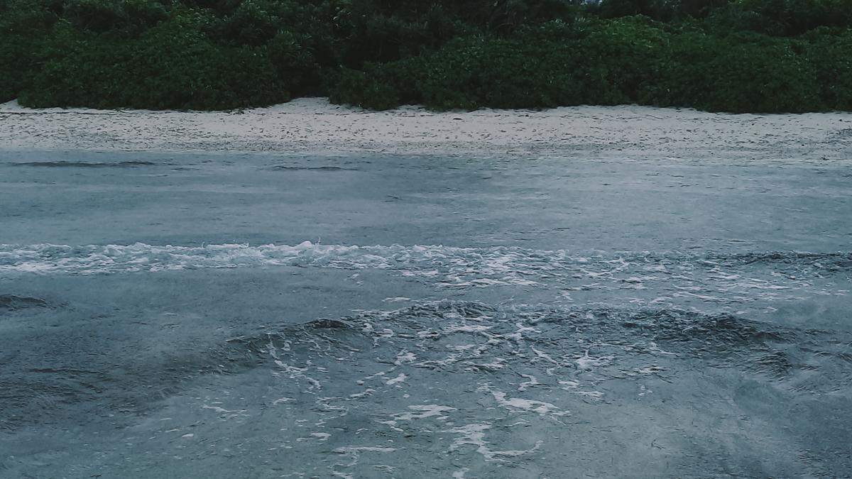 furtuna-tropicala_37263300