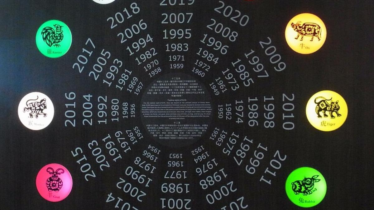 zodiac-chinezesc_63953600