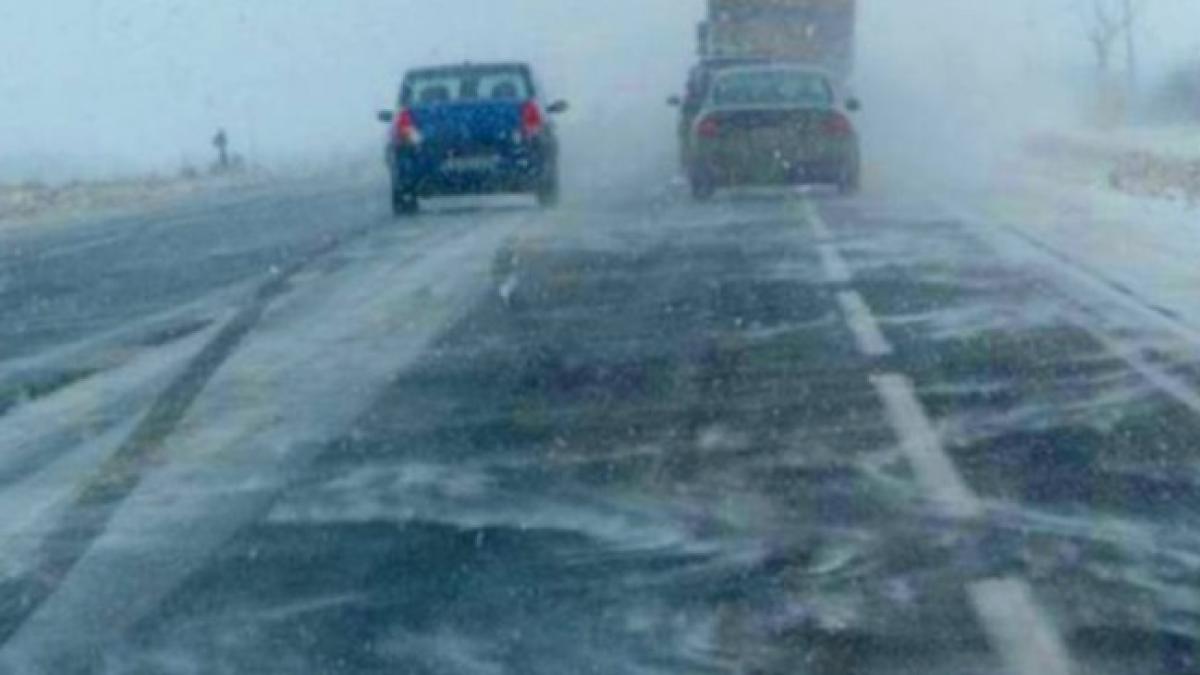 vant_si_polei_e1451994123818_680x365_40918600