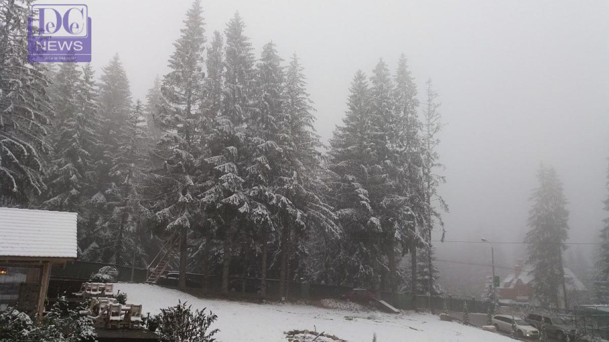 iarna-zapada-munte-001_73001500