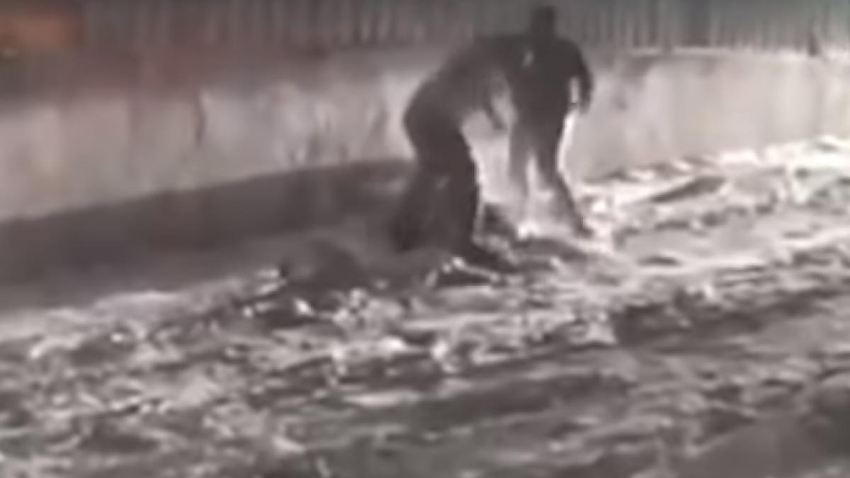 crima-medias-2_02206900